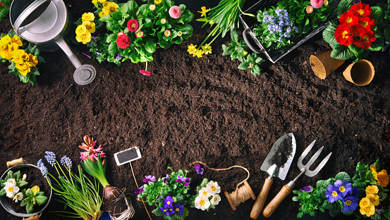 Reasons to Enjoy Gardening at Your Home